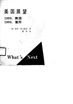 美国展望 1989:衰退 1990:复苏