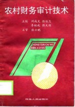 农村财务审计技术