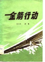 金箭行动