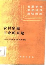 发展农村商品经济经验选编 农村家庭工业的兴起
