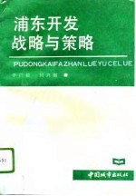 浦东开发战略与策略