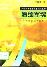滇缅军魂 中国远征军纪实