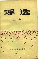 浮选 纪念A.M.高登文集 上