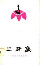 三牙象 傣族民间叙事长诗