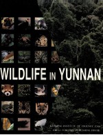 WILDLIFE IN YUNNAN