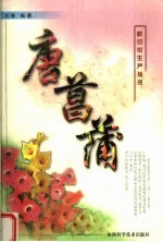 唐菖蒲