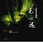 花之魂 云南花卉摄影