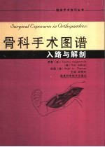 骨科手术图谱 入路与解剖