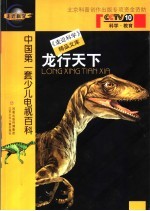 龙行天下