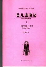 苦儿流浪记 上