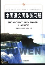 中国语文同步练习册