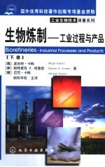 生物炼制 工业过程与产品 下