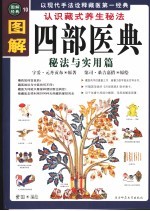 图解四部医典 秘法与实用篇 认识藏式养生秘法
