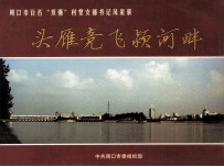 头雁竞飞颍河畔 周口市百名“双强”村党支部书记风采录