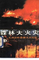 森林大火灾 大兴安岭森林大火纪实