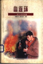 血连环 警方大要奇案集