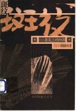 斑纹 兽皮上的地图