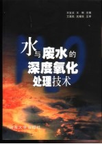 水与废水的深度氧化处理技术