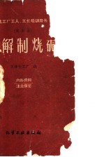 电解制烧碱 试用本