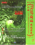 闪魂-Flash网站建设实录