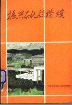 振兴石化的楷模 中国石化总公司先进集体和劳动模范事迹选编