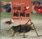 中国蝈蝈谱