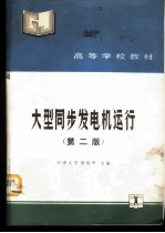 大型同步发电机运行