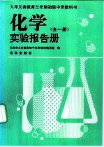 化学实验报告册