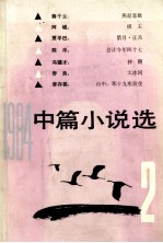 1984中篇小说选 第2辑