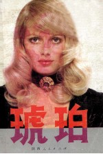 琥珀 (下册)