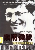 亲历微软 一个软件帝国的平凡镜像