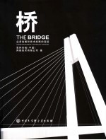 桥 业务战略和技术战略的连接 中英文本
