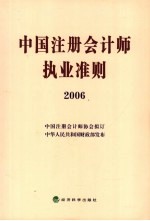 中国注册会计师执业准则 2006