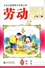 劳动 六年级