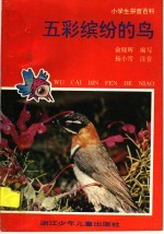 五彩缤纷的鸟