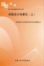 初级会计电算化