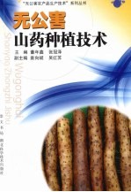 无公害山药种植技术