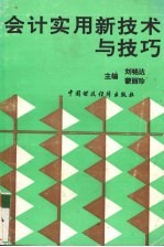 会计实用新技术与技巧