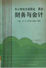 中小学校办农副业、商业财务与会计