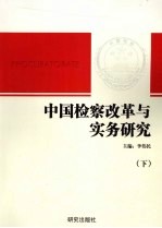 中国检察改革与实务研究 下
