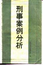 刑事案例分析