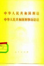 《中华人民共和国刑法》《中华人民共和国刑事诉讼法》名词解释