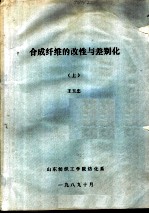 合成纤维的改性与差别化 上