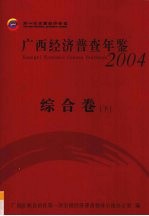 广西经济普查年鉴 2004 综合卷 下
