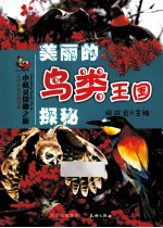 美丽的鸟类王国探秘