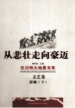 从悲壮走向豪迈 文艺卷·影视 下