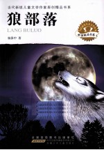 当代新锐儿童文学作家原创精品书系 狼部落