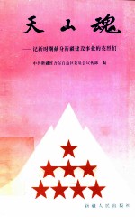 天山魂 记新时期献身新疆建设事业的英烈
