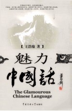 魅力中国话