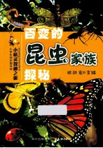 百变的昆虫家族探秘